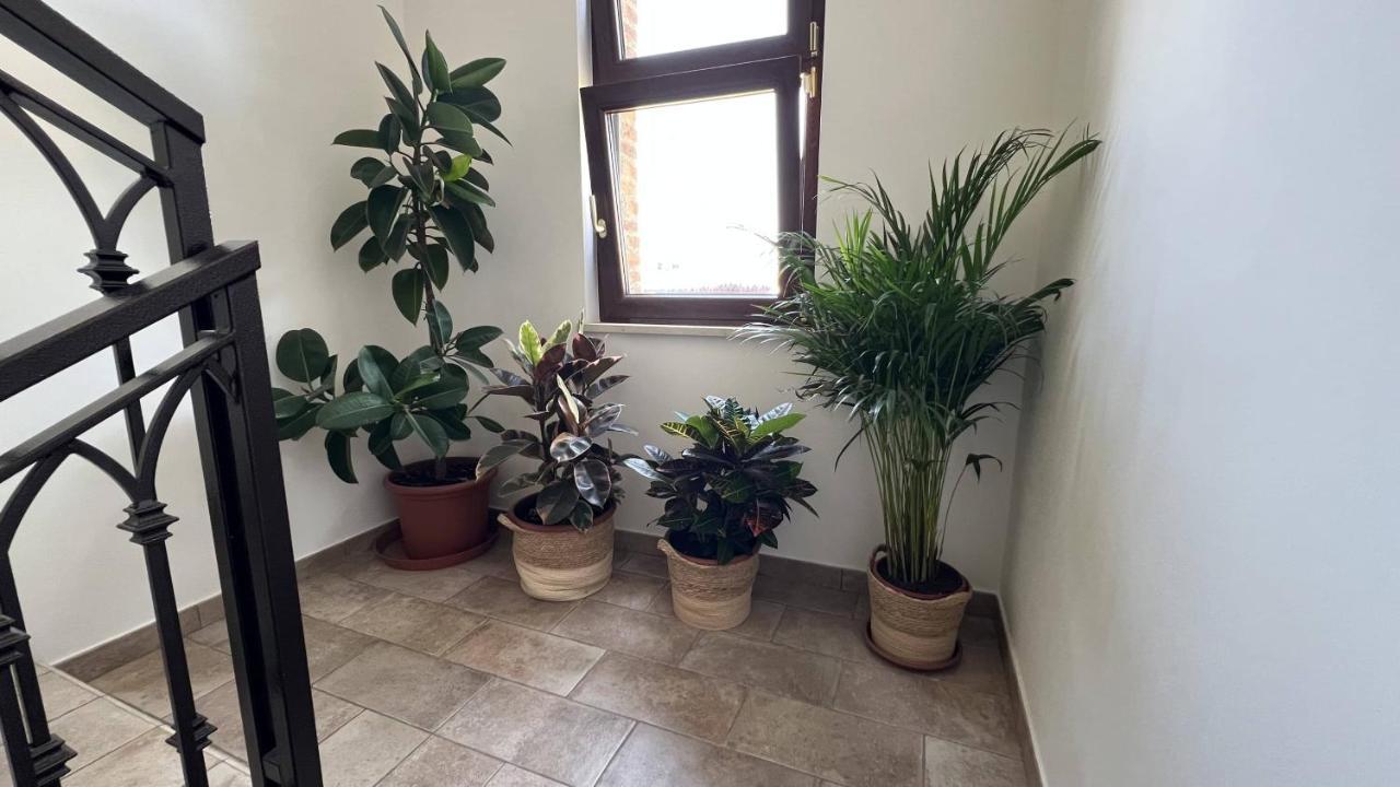 פיומיצ'ינו Guest House Le Vagabonde מראה חיצוני תמונה